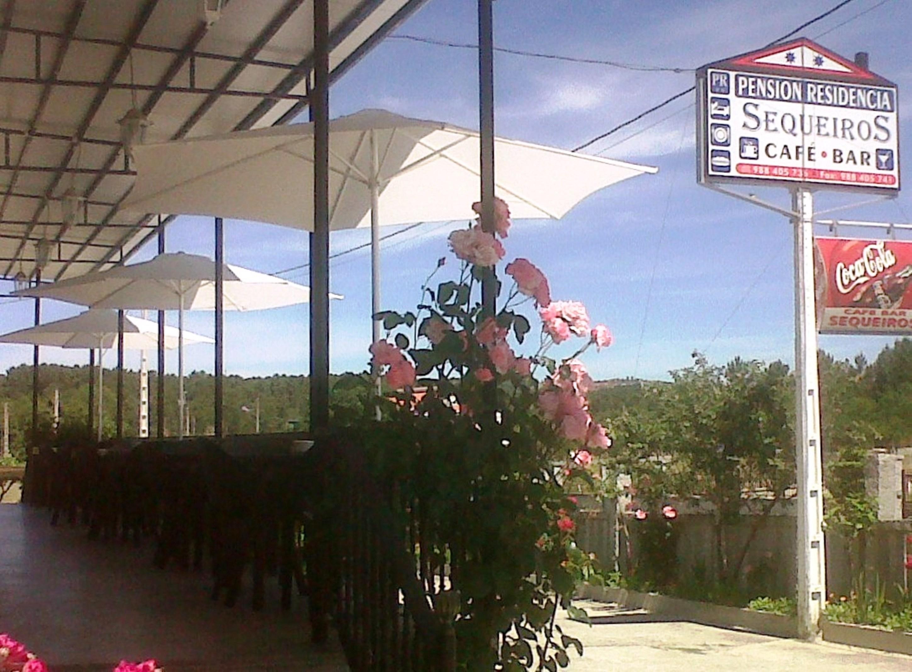Hostal Sequeiros San Ciprián de Viñas Exterior foto